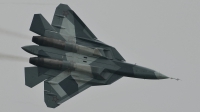 Photo ID 132986 by Martin Thoeni - Powerplanes. Russia Air Force Sukhoi T 50,  