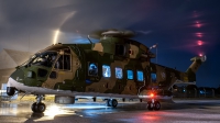 Photo ID 133195 by Lloyd Horgan. Portugal Air Force AgustaWestland AW101 Mk514, 19601