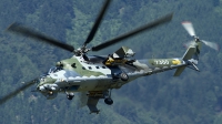 Photo ID 134441 by Thomas Ziegler - Aviation-Media. Czech Republic Air Force Mil Mi 35 Mi 24V, 7360