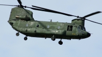 Photo ID 135230 by Arie van Groen. Netherlands Air Force Boeing Vertol CH 47D Chinook, D 663