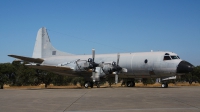Photo ID 135312 by Paul Newbold. Portugal Air Force Lockheed P 3P Orion, 14805