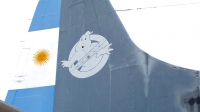 Photo ID 136028 by Adolfo Jorge Soto. Argentina Navy Lockheed L 188E Electra, 0793
