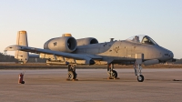 Photo ID 137349 by Fernando Sousa. USA Air Force Fairchild A 10C Thunderbolt II, 81 0981