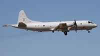 Photo ID 137667 by Fernando Sousa. Portugal Air Force Lockheed P 3C Orion, 14810