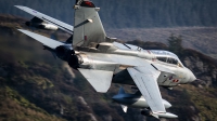 Photo ID 139193 by Lloyd Horgan. UK Air Force Panavia Tornado GR4, ZD849