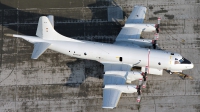 Photo ID 139534 by Jan Czonstke. Germany Navy Lockheed P 3C Orion, 60 04