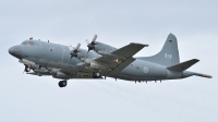 Photo ID 139949 by Lieuwe Hofstra. Canada Air Force Lockheed CP 140 Aurora, 140115