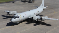 Photo ID 142685 by Rich Pittman. Portugal Air Force Lockheed P 3C Orion, 14810