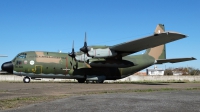 Photo ID 144419 by Martin Kubo. Argentina Air Force Lockheed C 130H Hercules L 382, TC 64