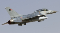 Photo ID 145371 by Chris Lofting. Jordan Air Force General Dynamics F 16BM Fighting Falcon, 161