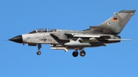Photo ID 148616 by Ruben Galindo. Germany Air Force Panavia Tornado ECR, 46 44