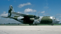 Photo ID 152093 by David F. Brown. Norway Air Force Lockheed C 130H Hercules L 382, 956