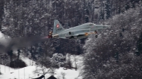 Photo ID 152513 by Rebecca Metkemeier. Switzerland Air Force Northrop F 5E Tiger II, J 3005