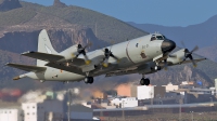 Photo ID 153973 by MANUEL ACOSTA. Spain Air Force Lockheed P 3M Orion, P 3M 08