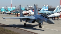 Photo ID 158506 by Sergey Chaikovsky. Russia Air Force Sukhoi Su 35S,  