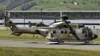 Photo ID 158765 by Thomas Ziegler - Aviation-Media. Switzerland Air Force Aerospatiale AS 532UL Cougar, T 336