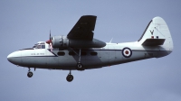 Photo ID 164035 by Sergio Gava. UK Air Force Percival P 66 Pembroke C 1, XF799