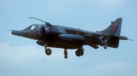 Photo ID 164799 by Rainer Mueller. UK Air Force Hawker Siddeley Harrier GR 3, XV810