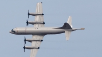 Photo ID 164826 by Marco Casaleiro. Portugal Air Force Lockheed P 3C Orion, 14809