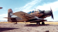 Photo ID 164839 by Robert W. Karlosky. USA Air Force Douglas A 1E Skyraider AD 5, 133866