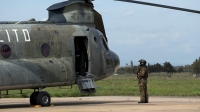 Photo ID 20364 by Giampaolo Tonello. Italy Army Boeing Vertol CH 47C Chinook, MM80832