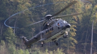 Photo ID 166179 by Andreas Weber. Switzerland Air Force Aerospatiale AS 532UL Cougar, T 340