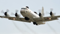 Photo ID 166763 by Mark Munzel. Japan Navy Lockheed UP 3D Orion, 9163