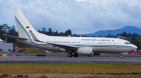 Photo ID 167632 by Andreas Zeitler - Flying-Wings. Colombia Air Force Boeing 737 74V, FAC0001