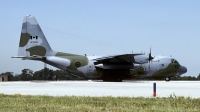 Photo ID 168127 by Joop de Groot. Canada Air Force Lockheed CC 130E Hercules L 382, 130308