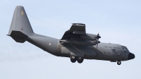 Photo ID 171550 by rob martaré. Portugal Air Force Lockheed C 130H Hercules L 382, 16805