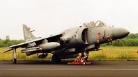Photo ID 171736 by Jan Eenling. UK Navy British Aerospace Sea Harrier FA 2, ZD580