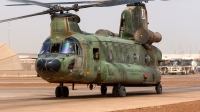 Photo ID 174481 by Jan Eenling. Netherlands Air Force Boeing Vertol CH 47D Chinook, D 662