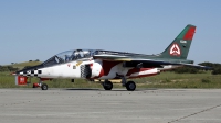 Photo ID 174739 by Fernando Sousa. Portugal Air Force Dassault Dornier Alpha Jet A, 15206