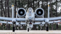 Photo ID 175199 by Marco Casaleiro. USA Air Force Fairchild A 10C Thunderbolt II, 81 0981