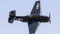 Photo ID 175690 by Nathan Havercroft. Private Private Grumman TBM 3E Avenger, NL7226C