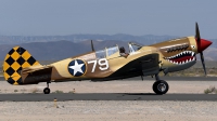 Photo ID 175845 by W.A.Kazior. Private Planes of Fame Air Museum Curtiss P 40N Warhawk, N85104