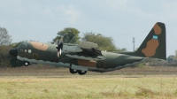 Photo ID 21486 by Juan Manuel Barragán. Argentina Air Force Lockheed C 130H Hercules L 382, TC 61