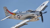 Photo ID 177742 by W.A.Kazior. Private Comanche Warbirds Inc Douglas A 1D Skyraider AD 4NA, NX409Z