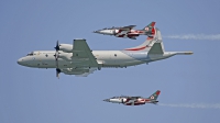 Photo ID 178695 by Fernando Sousa. Portugal Air Force Lockheed P 3C Orion, 14808