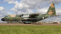 Photo ID 179982 by Chris Lofting. Algeria Air Force Lockheed C 130H Hercules L 382, 7T WHE
