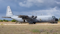 Photo ID 183112 by Filipe Barros. Portugal Air Force Lockheed C 130H 30 Hercules L 382, 16806