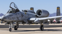 Photo ID 185181 by Thomas Ziegler - Aviation-Media. USA Air Force Fairchild A 10C Thunderbolt II, 81 0969