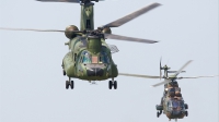 Photo ID 22243 by Alex van Noye. Netherlands Air Force Boeing Vertol CH 47D Chinook, D 663