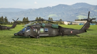 Photo ID 188330 by Thomas Ziegler - Aviation-Media. Austria Air Force Sikorsky S 70A 42 Black Hawk, 6M BH