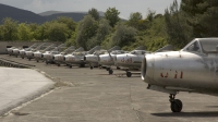 Photo ID 22892 by Erik Bruijns. Albania Air Force Mikoyan Gurevich MiG 15UTI, 5 11