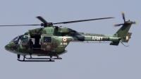 Photo ID 193005 by Lukas Kinneswenger. India Army Hindustan Aeronautics Limited Dhruv Mk 1, IA1116