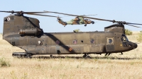 Photo ID 195569 by Ruben Galindo. Spain Army Boeing Vertol CH 47D Chinook, HT 17 03