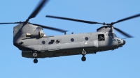 Photo ID 196573 by Mario Boeren. Netherlands Air Force Boeing Vertol CH 47F Chinook, D 890