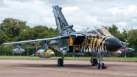 Photo ID 196825 by Pedro Castellano García. Germany Air Force Panavia Tornado ECR, 46 33