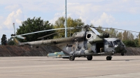 Photo ID 198726 by Milos Ruza. Czech Republic Air Force Mil Mi 171ShM, 9825